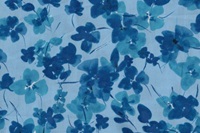 Blue Violets voile
