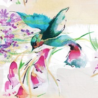 Kolibrie poplin (SALE)-2