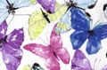 Butterfly voile 