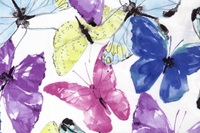 Butterfly voile