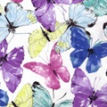 Butterfly voile 