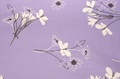 Stornetta Lavender katoen satijn (breedte 279 cm) (SALE) 