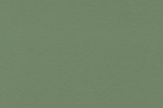 Afbeelding van Green Bay boordstof 1x1 (met elastan) (SALE)