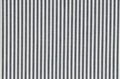Blue Stripe poplin 