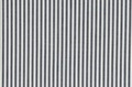 Blue Stripe poplin (SALE) 