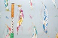 Miu feathers voile 
