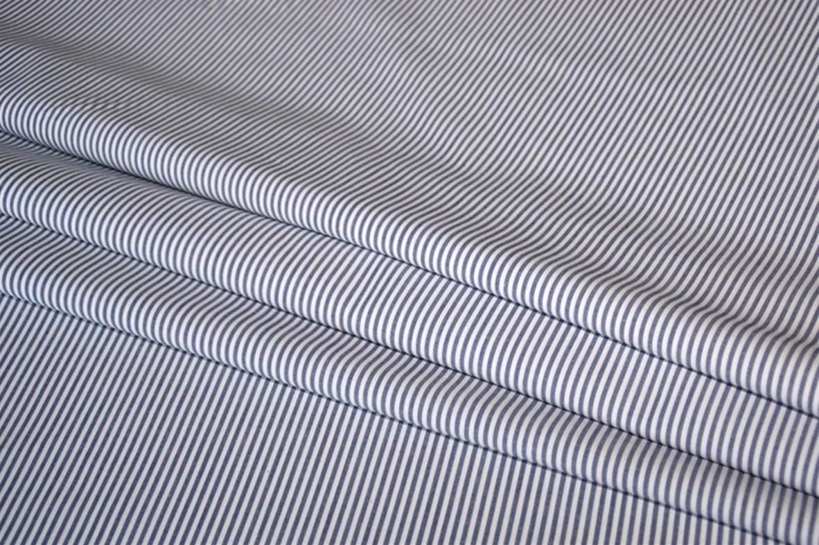 Blue Stripe poplin 