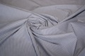 Blue Stripe poplin 