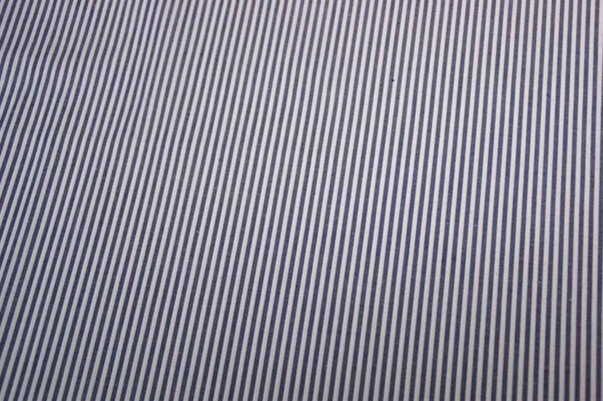 Blue Stripe poplin 