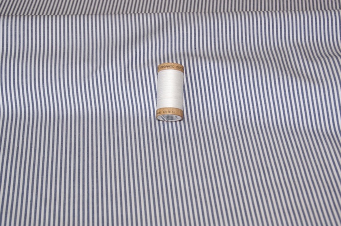 Blue Stripe poplin 