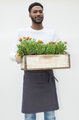 Short apron - anthracite canvas (SALE) 