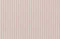 Candy Pink Stripe poplin (SALE) 