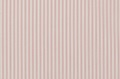 Candy Pink Stripe poplin 