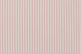 Picture of Candy Pink Stripe poplin