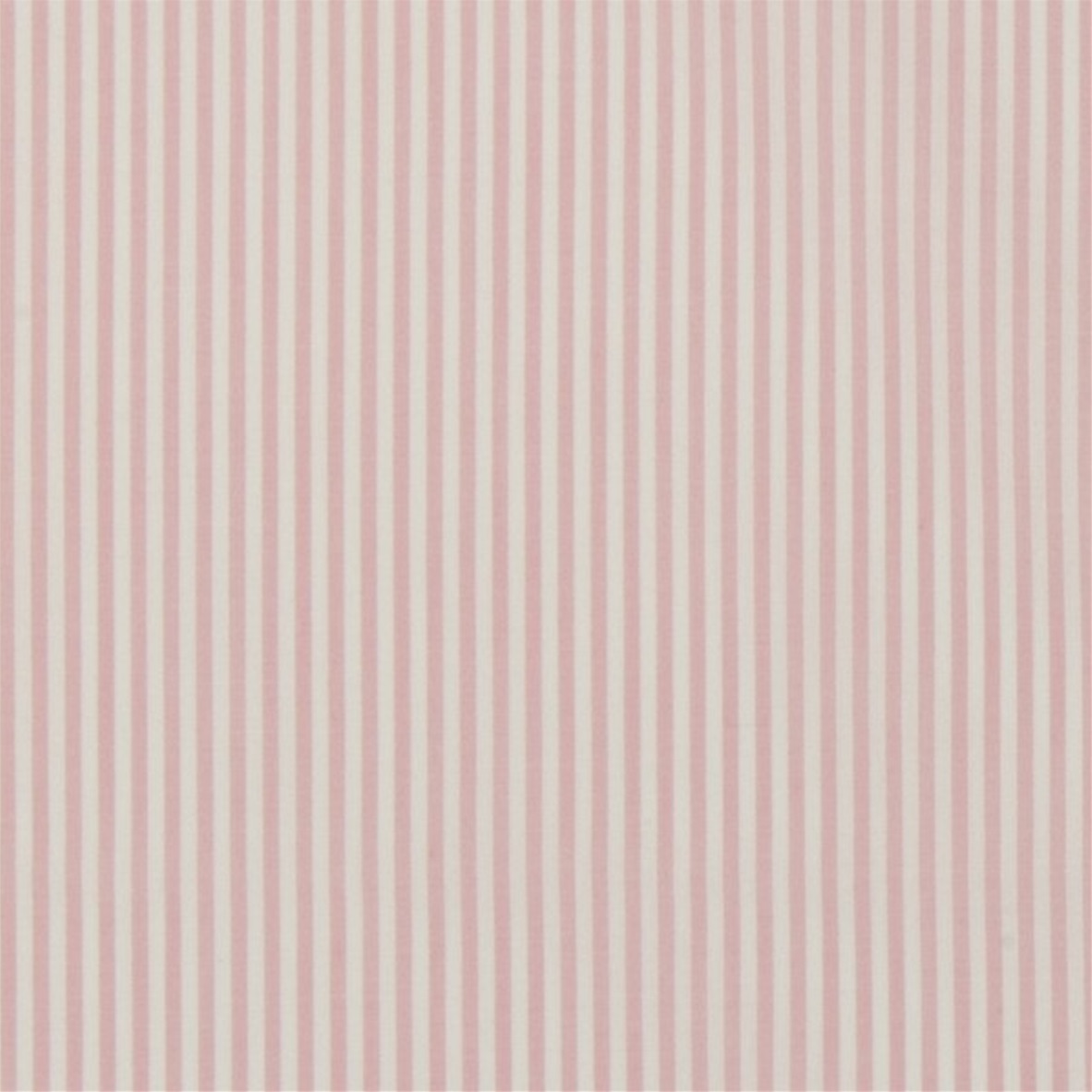 Candy Pink Stripe poplin 