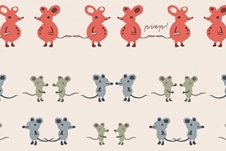 Afbeelding van Twin mouse poplin