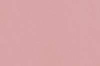 Bridal Rose poplin