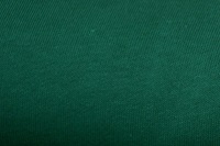 Evergreen sweatshirt fabric (SALE)-2