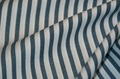 Ink Blue Stripe poplin (SALE) 