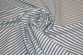 Ink Blue Stripe poplin 