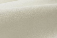 Offwhite Heavy Canvas