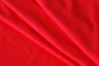 Picture of Red stretch jersey