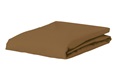 Café Noir fitted sheet jersey 