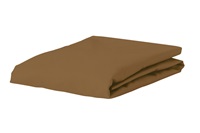 Caf&#233; Noir fitted sheet jersey