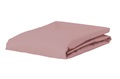 Woodrose fitted sheet jersey 