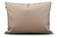 Two in One Ginger pillowcase percale