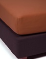 Leather Brown fitted sheet jersey 