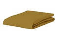 Olive fitted sheet jersey 