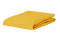 Mustard fitted sheet jersey 