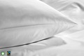 White pillowcase sateen  